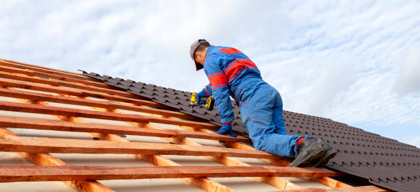 Best Chimney Flashing Repair  in Marissa, IL